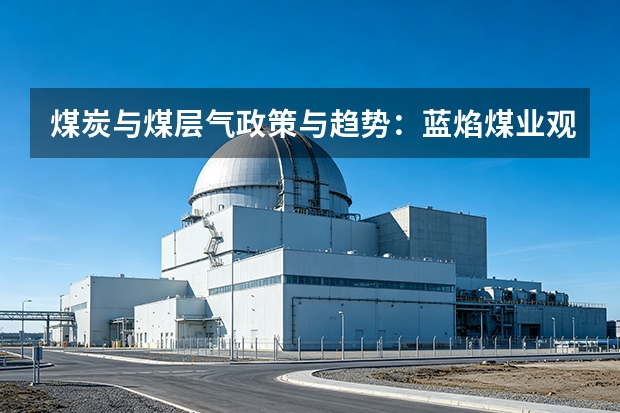 煤炭与煤层气政策与趋势：蓝焰煤业观察