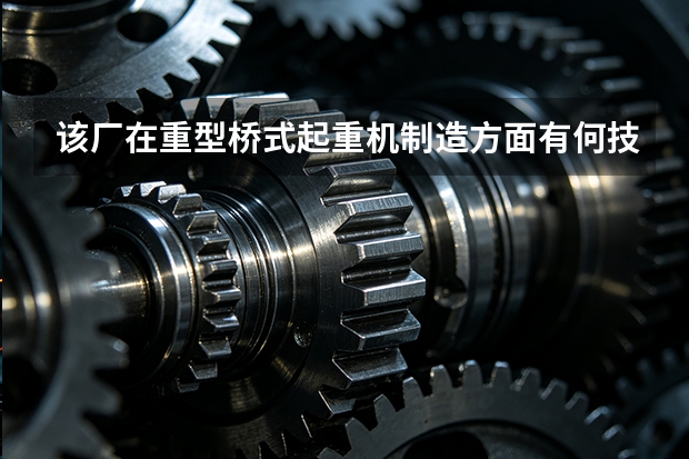 该厂在重型桥式起重机制造方面有何技术优势？