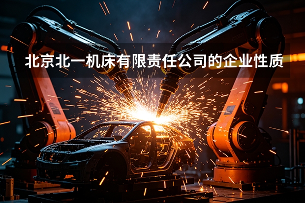 北京北一机床有限责任公司的企业性质是什么？