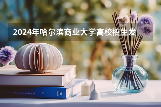 2024年哈尔滨商业大学高校招生发布简章