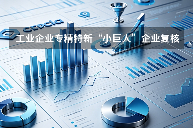 工业企业专精特新“小巨人”企业复核申报指南：对照标准、材料准备与防踩坑